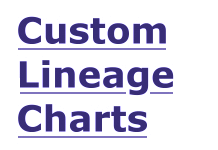 Custom Lineage Charts